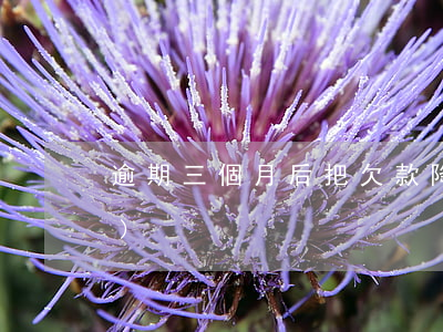 逾期三個月后把欠款降到5萬以內(nèi)