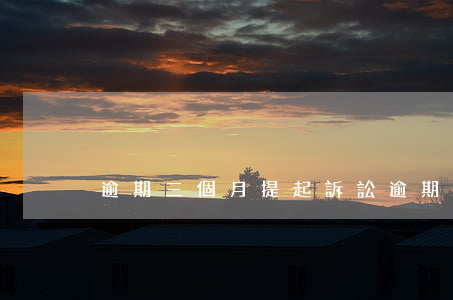 逾期三個月提起訴訟（逾期三個月提起訴訟）