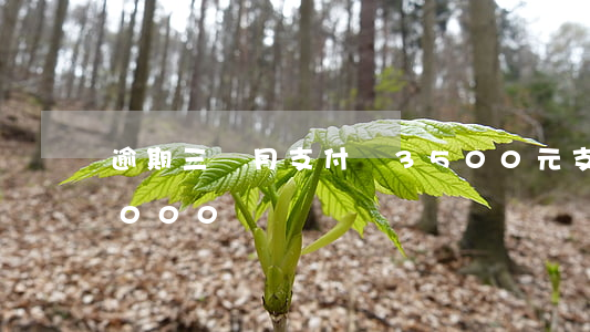逾期三個月支付寶3500元 支付寶逾期3000