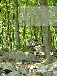 逾期三個月是指一分錢都沒還嗎-逾期三個月后必須全額還款嗎
