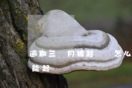 逾期三個月被起訴會怎么樣(逾期3萬多久才能起訴)