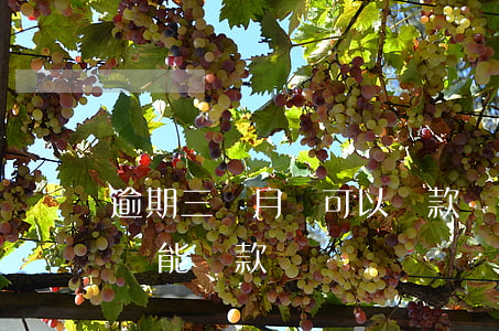 逾期三個月還可以貸款嗎(征信有3個月逾期還能貸款嗎)