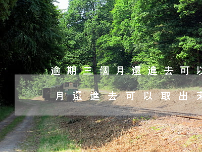 逾期三個月還進去可以取出來嗎-逾期三個月還進去可以取出來嗎
