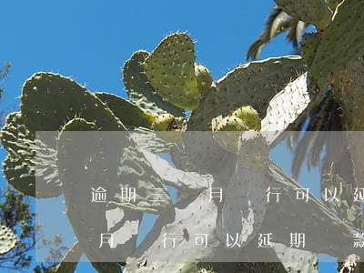 逾期三個月銀行可以延期還款嗎-逾期三個月銀行可以延期還款嗎怎么還