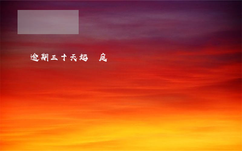 逾期三十天起訴庭審