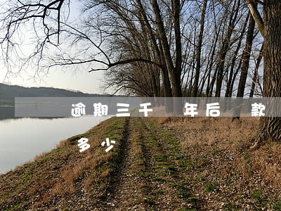 逾期三千兩年后還款兩千(逾期三年后還款還多少)