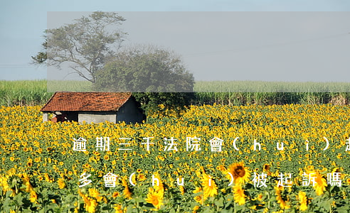 逾期三千法院會(huì)起訴嗎 逾期三萬多會(huì)被起訴嗎