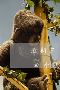 逾期三四个月了银行说起诉怎么办-逾期三四个月了银行说起诉怎么办呢
