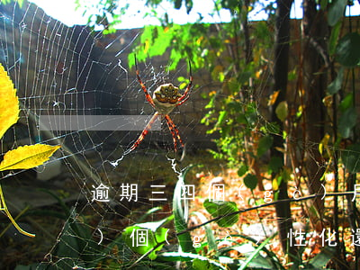 逾期三四個(gè)月如何申請(qǐng)個(gè)性化還款-逾期三四個(gè)月如何申請(qǐng)個(gè)性化還款呢
