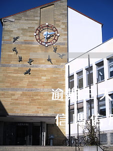 逾期三天以內(nèi)會(huì)上征信嗎（信用卡逾期三天征信受影響嗎）