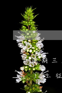 逾期三天信用卡(逾期三天信用卡會(huì)上征信嗎)