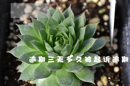 逾期三天多久被起诉(逾期多少天起诉)