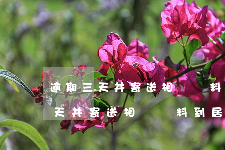 逾期三天并寄送相關資料到居委會-逾期三天并寄送相關資料到居委會怎么辦