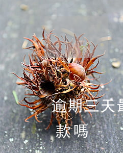 逾期三天最低還款嗎(逾期一星期可以最低還款嗎)