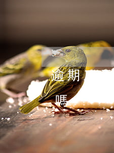 逾期三天能貸款買車嗎(車貸逾期三天算逾期嗎)