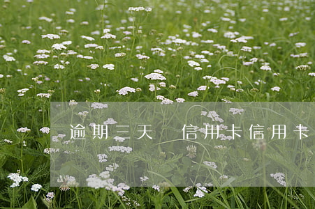逾期三天還信用卡（信用卡三期逾期了要緊不）