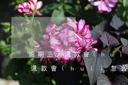 逾期三天還款會(huì)怎么樣(逾期三天還款會(huì)怎么樣)