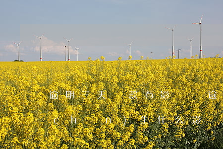 逾期三天還款有影響嗎，逾期三天還款會產(chǎn)生什么影響？