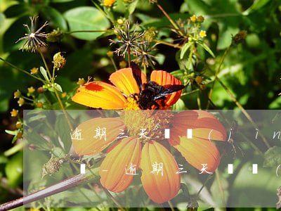逾期三天還進(jìn)去了征信還查得到嗎-逾期三天還進(jìn)去了征信還查得到嗎怎么辦