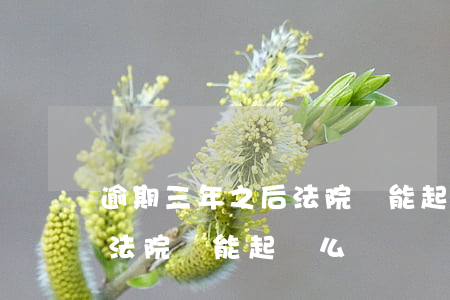 逾期三年之后法院還能起訴么(逾期三年之后法院還能起訴么)