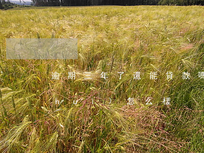 逾期三年了還能貸款嗎(貸款逾期3年了會(huì)怎么樣?)
