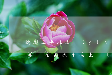 逾期三年以上應(yīng)收款所得稅清算-逾期三年以上應(yīng)收款所得稅清算怎么算