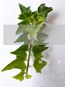 逾期三年以上應(yīng)收賬款專項(xiàng)報(bào)告-逾期三年以上應(yīng)收賬款專項(xiàng)報(bào)告是什么