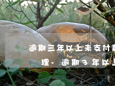 逾期三年以上未支付款項(xiàng)的處理-逾期3年以上