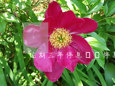 逾期三年停息掛賬(停息掛賬后逾期一年)