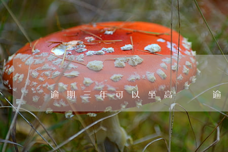 逾期三年可以坐高鐵嗎(逾期一年可以坐高鐵嗎)