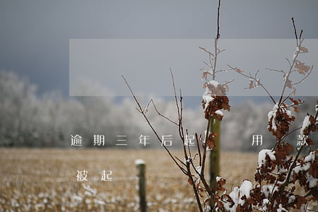 逾期三年后起訴沒用(貸款逾期3年,為什么沒被起訴)