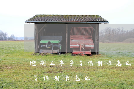 逾期三年多了信用卡怎么還利息（逾期三年多了信用卡怎么還）