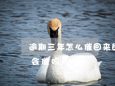 逾期三年怎么催回来的(网贷逾期3年了,他还会催吗)