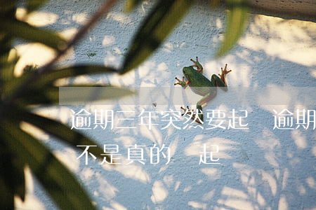 逾期三年突然要起訴(逾期3個(gè)月是不是真的會起訴)