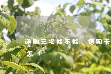 逾期三次能不能辦信用卡(信用卡3次逾期會怎樣)