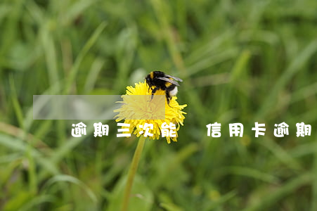 逾期三次能辦信用卡(逾期三次能辦信用卡)