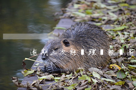 逾期三次能辦理貸款嗎(逾期兩次能辦房貸嗎)