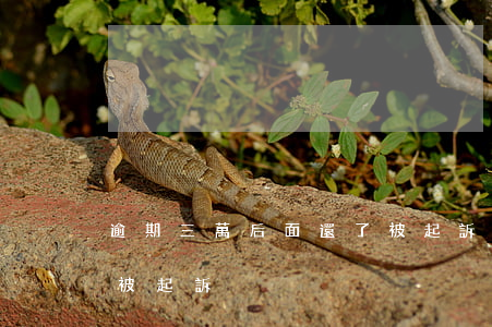 逾期三萬后面還了被起訴(逾期三萬后面還了被起訴)