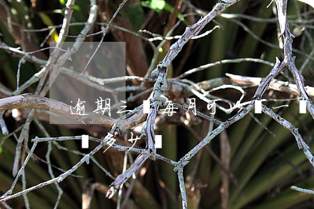 逾期三萬每月可以還一萬嗎(3萬逾期一年要還多少錢)