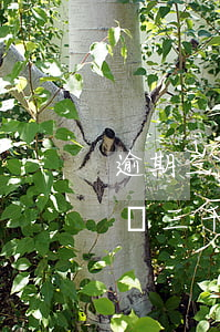 逾期三萬被起訴會執(zhí)行嗎-逾期兩三千會被起訴嗎