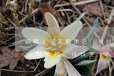 逾期上了法院黑名單可以坐火車嗎(逾期上了法院黑名單可以坐火車嗎)