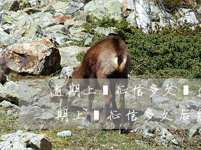 逾期上傳征信多久會(huì)限制微信(逾期上傳征信多久后能顯示)
