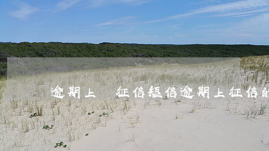 逾期上傳征信短信 逾期上征信的短信是什么樣