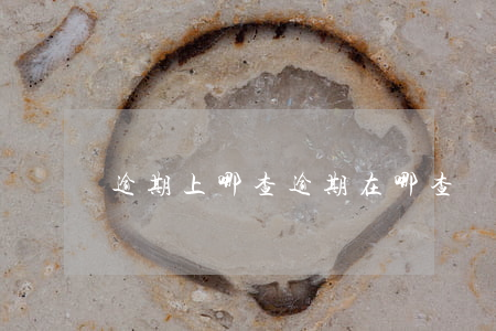 逾期上哪查 逾期在哪查詢