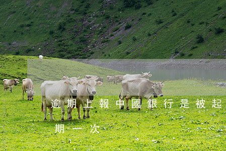 逾期上報中國銀行是被起訴了嗎 中國銀行逾期一次