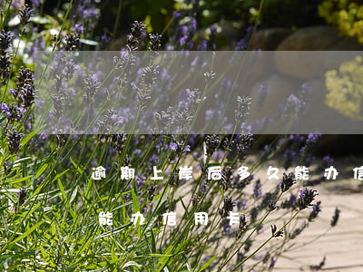 逾期上岸后多久能办信用卡(逾期上岸后多久能办信用卡)