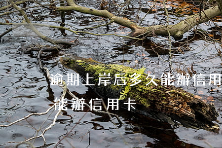 逾期上岸后多久能辦信用卡(逾期上岸后多久能辦信用卡)