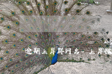 逾期上岸群网名-上岸微信群名