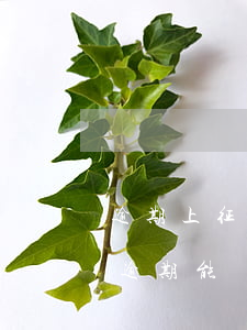 逾期上征信了信用卡還能用嗎-征信上有過逾期能辦信用卡嗎