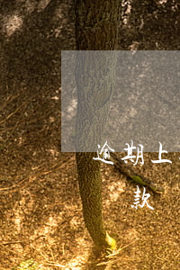 逾期上征信了能不能貸款(征信有逾期就不能貸款嗎)